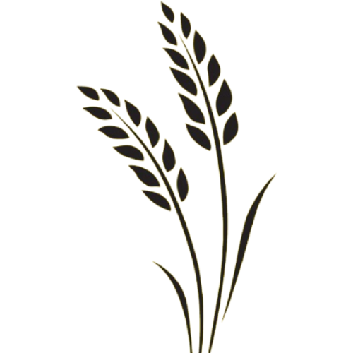 Wheat Keys